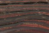 Polished Tiger Iron Stromatolite Slab - Billion Years #222036-1